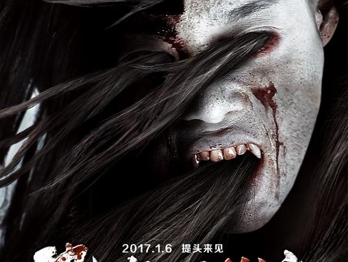 学信网学位验证报告怎么申请